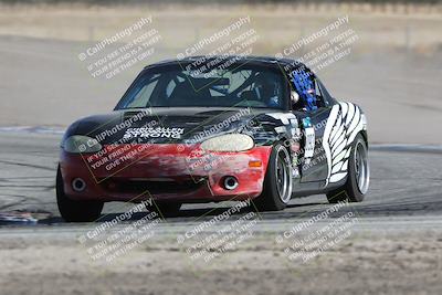 media/Oct-21-2023-Speed Ventures (Sat) [[ddf75163c5]]/Green/Grapvine/